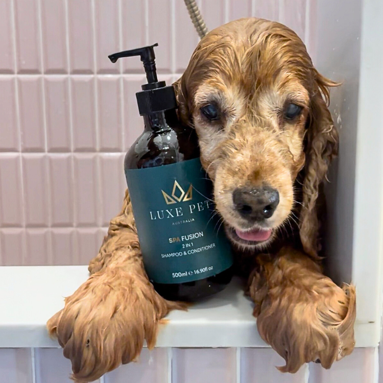 Spa Fusion 2-in-1 Shampoo & Conditioner