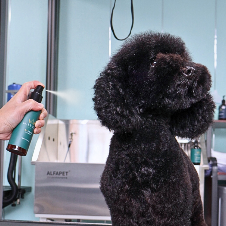 Spa Fusion Pet Parfum