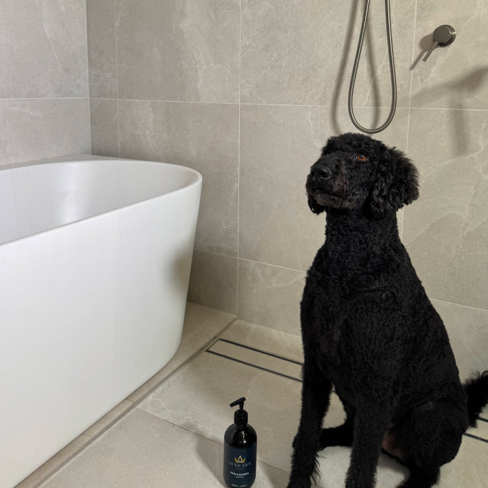 Hemp & Oatmeal Shampoo