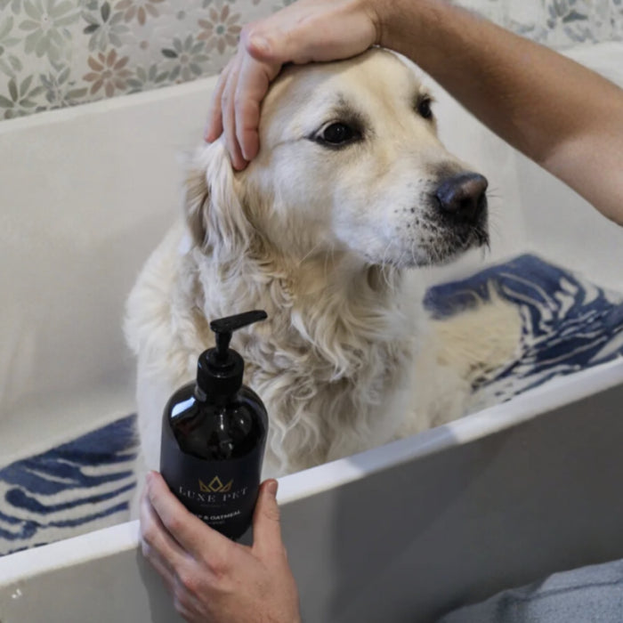 Hemp & Oatmeal Shampoo