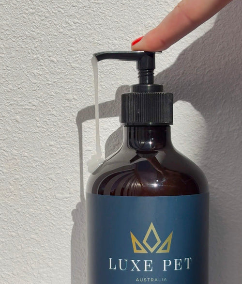 Hemp & Oatmeal Shampoo