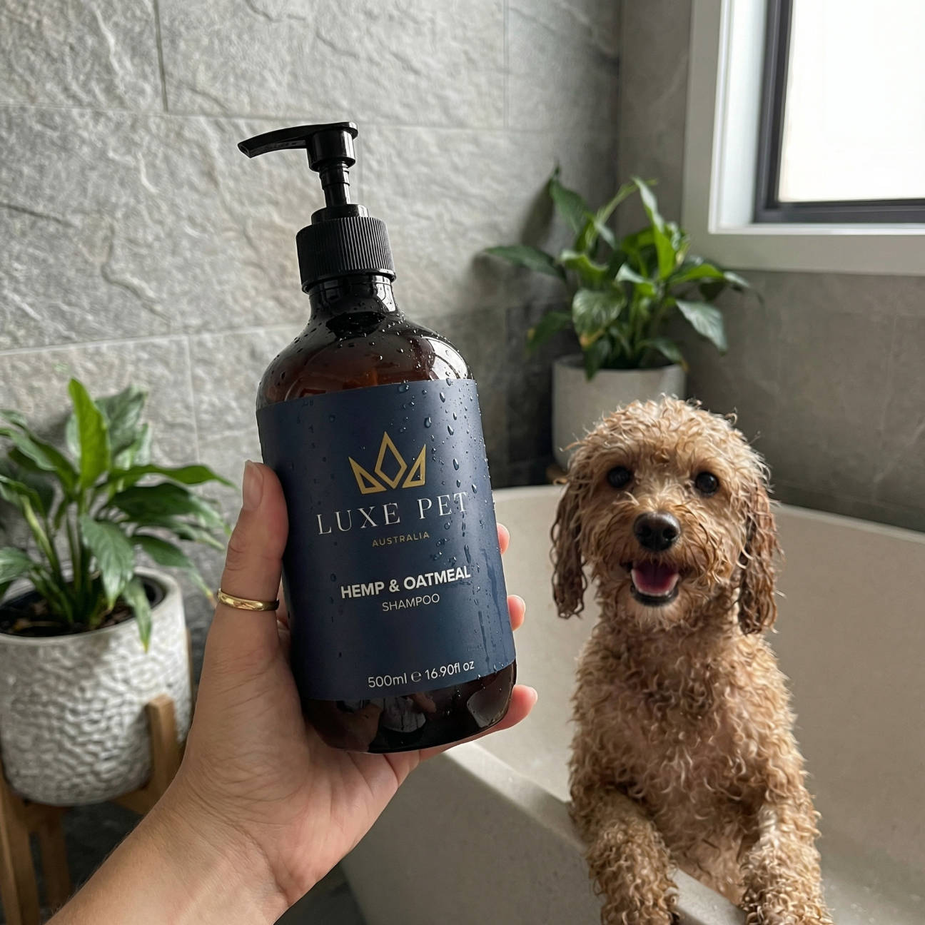Hemp & Oatmeal Shampoo