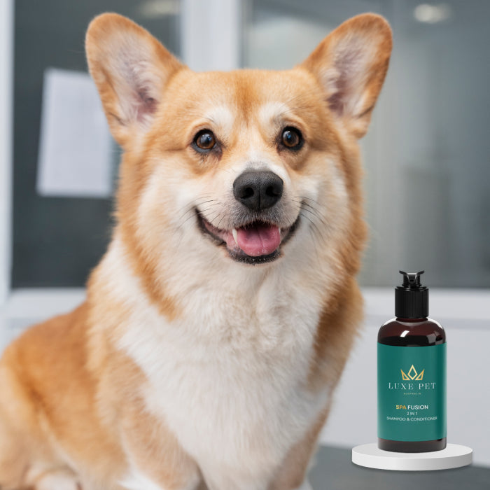 Spa Fusion 2-in-1 Shampoo & Conditioner