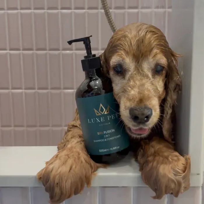 Spa Fusion 2-in-1 Shampoo & Conditioner