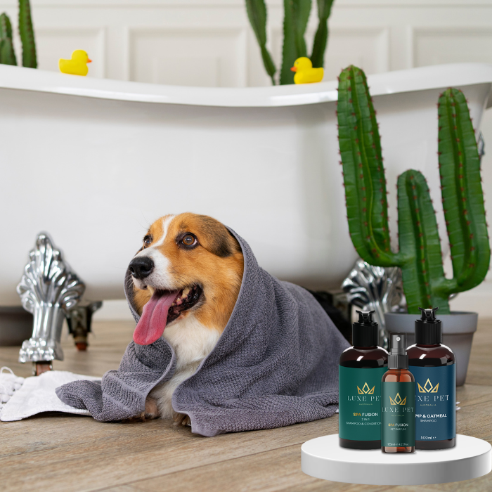 Hemp & Oatmeal Shampoo
